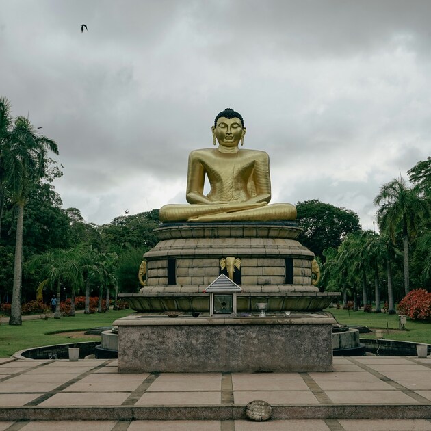 Buddhist Heritage & Meditation Tour